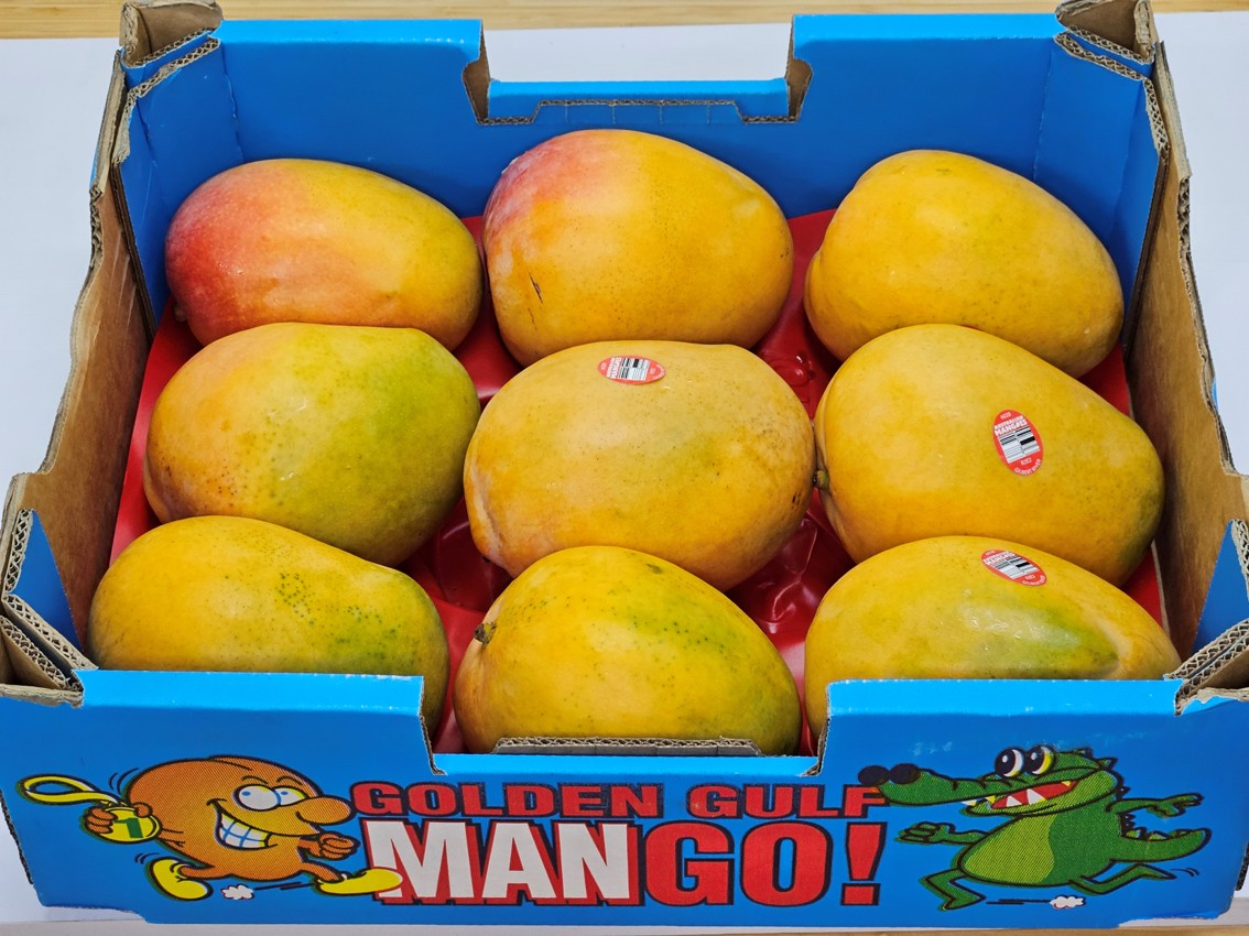 R2E2 Mango – fruitisful