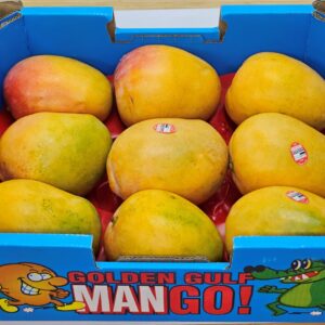 R2E2 Mango