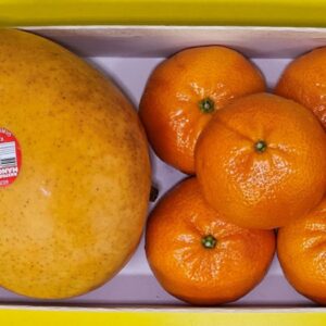 R2E2 Mango and Mandarin